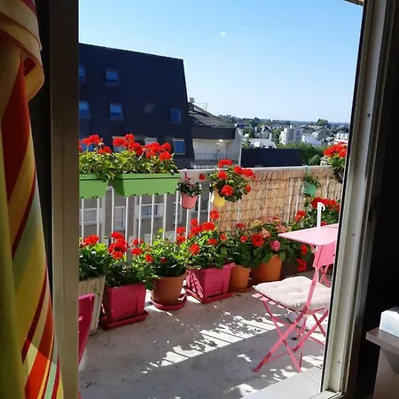 Mezzanine En Centre Ville! Homestay